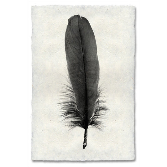 Goose feather