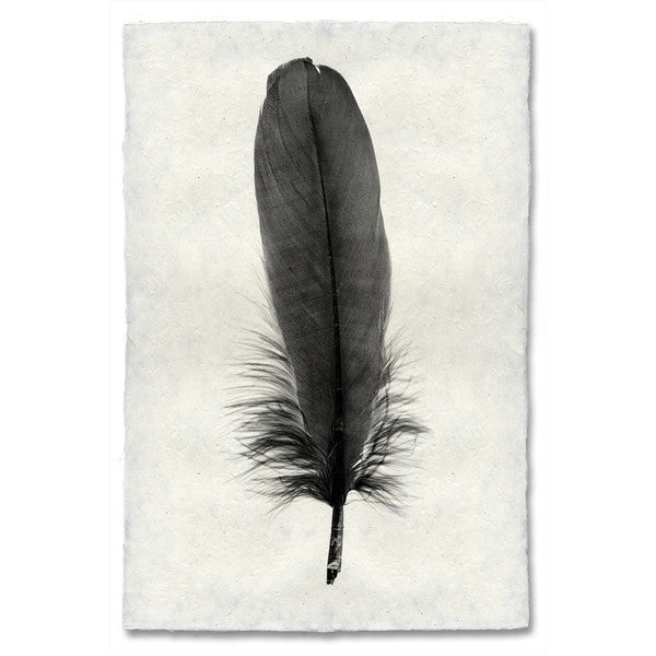 Feather #6 Print (Goose)