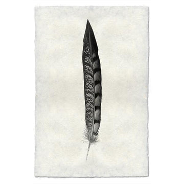 Feather #11 Print (Lady Amherst Pheasant Tail)