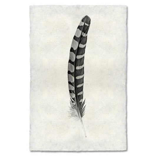 Partridge Tail Feather
