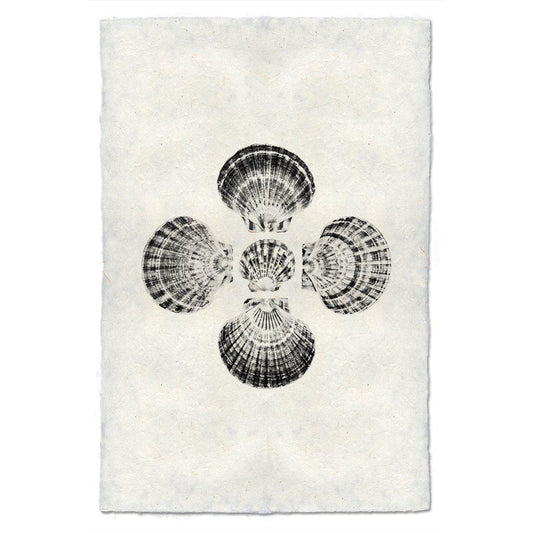 5 Scallops, B&W