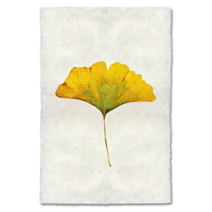 Autumn Leaf Print- GINKO