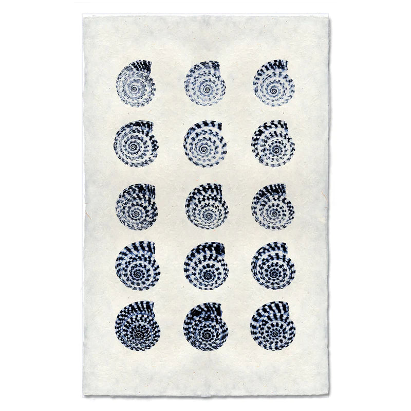 Heliacus Shells, Blue