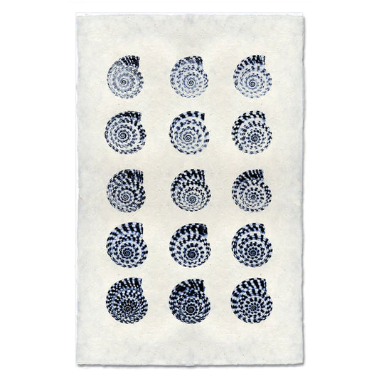 Heliacus Shells, Blue