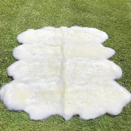 Large SheepSkin Rug - Octo