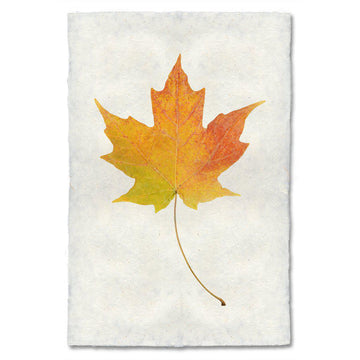 Autumn Leaf Print- MAPLE