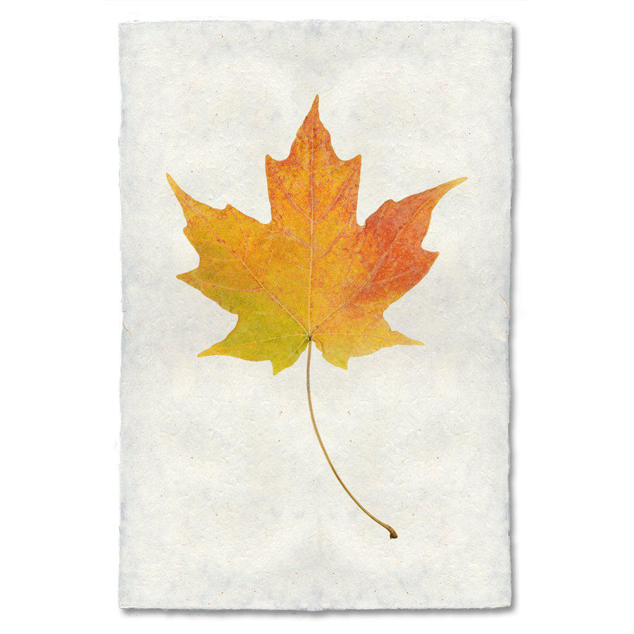Autumn Leaf Print- MAPLE