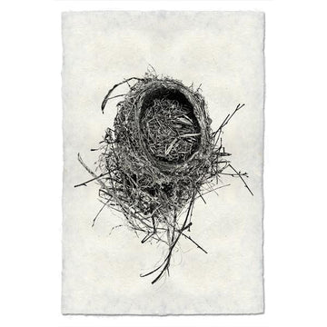 Nest #11 Print