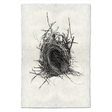 Nest #12 Print