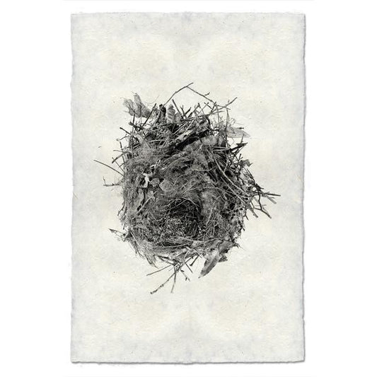Nest #13