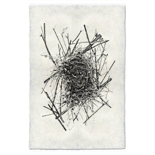 Nest #14