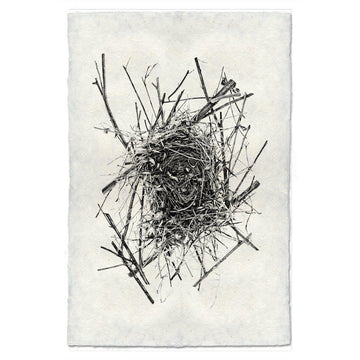 Nest #14 Print
