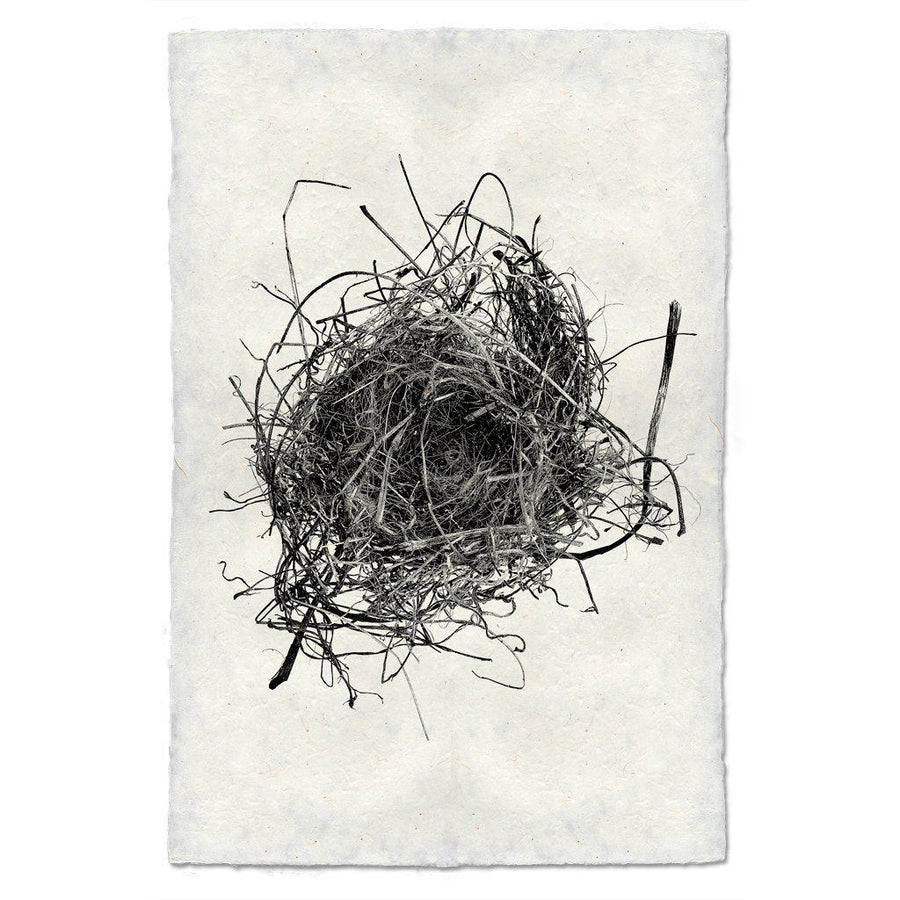 Nest #9 Print