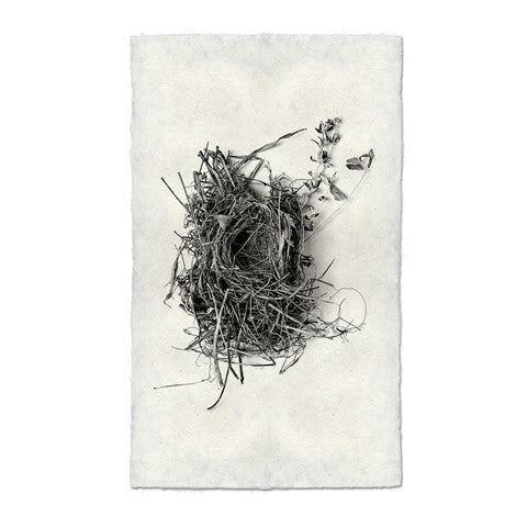 Nest #1 Print