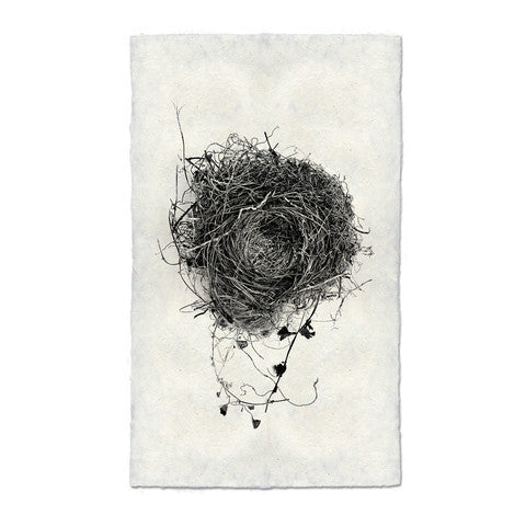 Nest #3