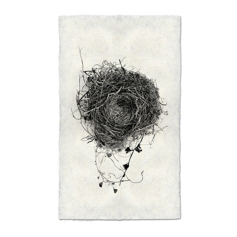 Nest #3 Print