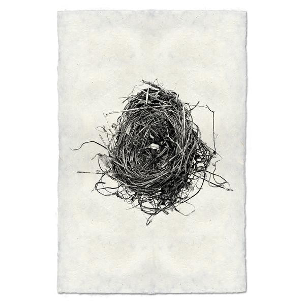 Nest #8