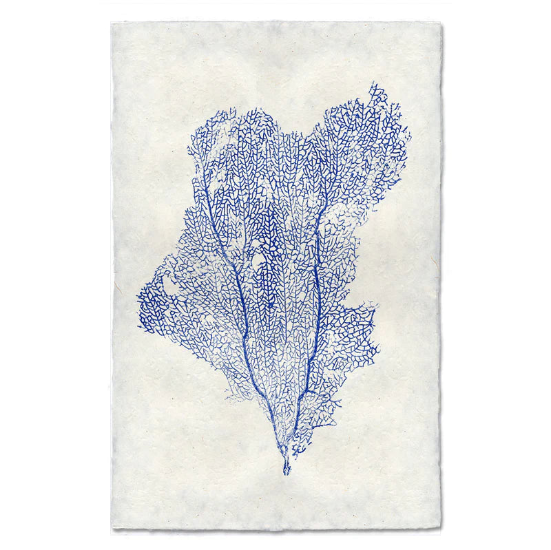 Sea Fan #1, Blue