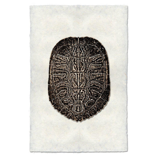 Turtle Shell #5