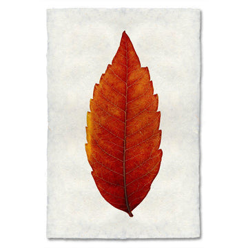 Autumn Leaf Print- SUMAC