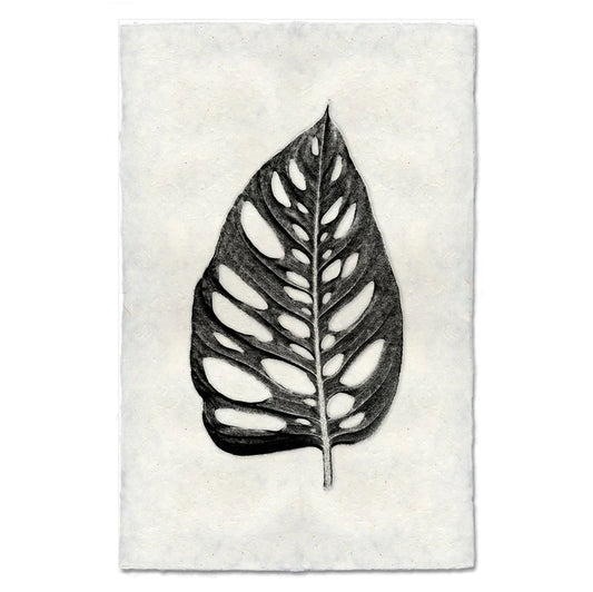 Wholly Leaf, B&W